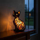Gato Radiante a Medianoche
